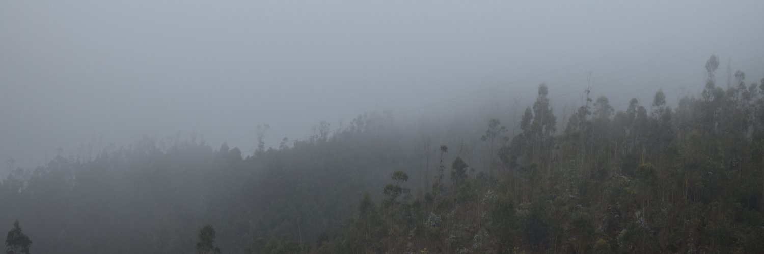 dsayied's profile banner image