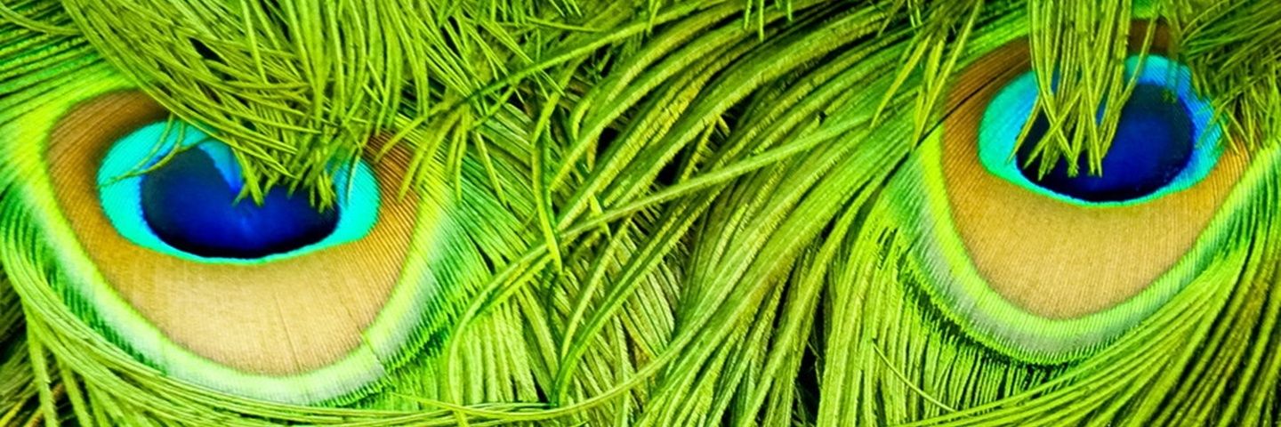 hariltr's profile banner image