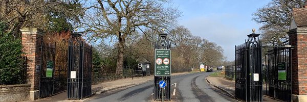 friendsofkings1 Profile Banner