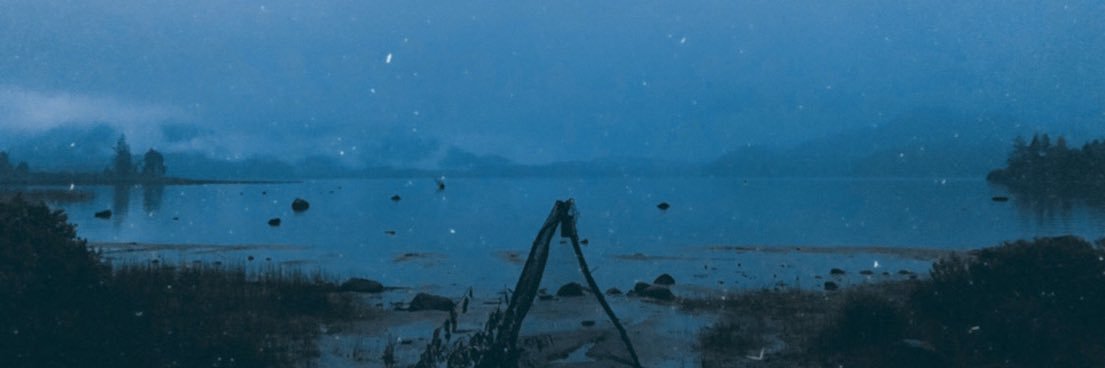 anchorage blue banner