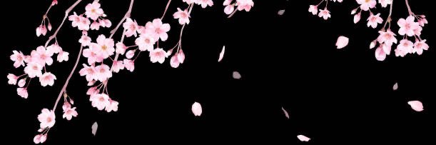 Sappilappi's profile banner image