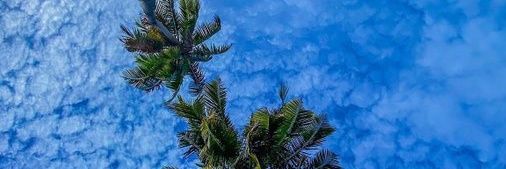 motionbysegun's profile banner image
