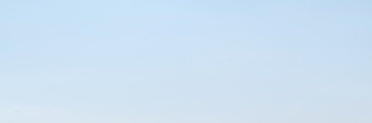 rosmalindasurya's profile banner image
