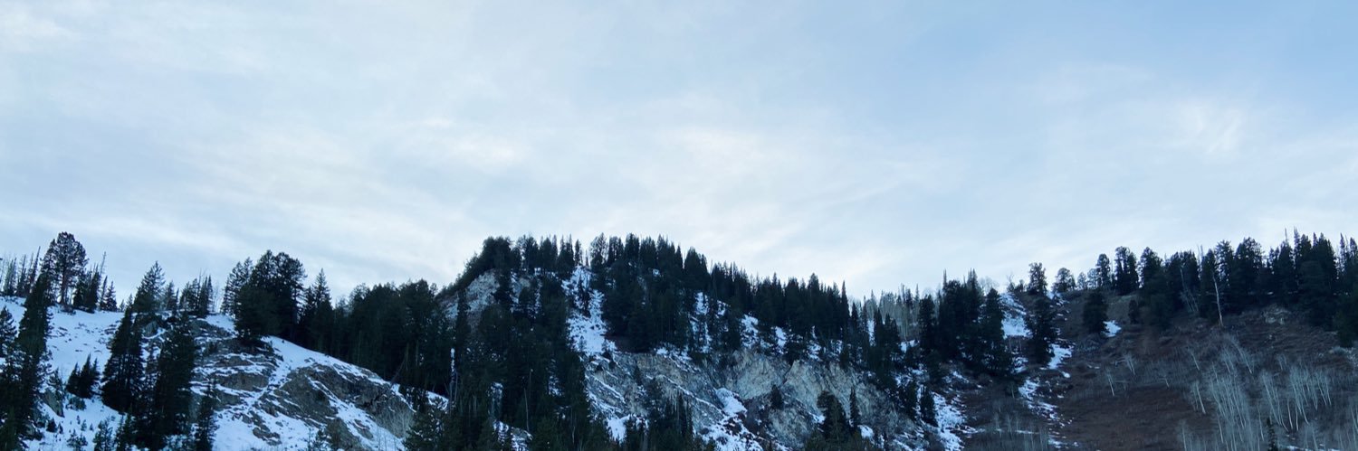RebelliousSouls's profile banner image