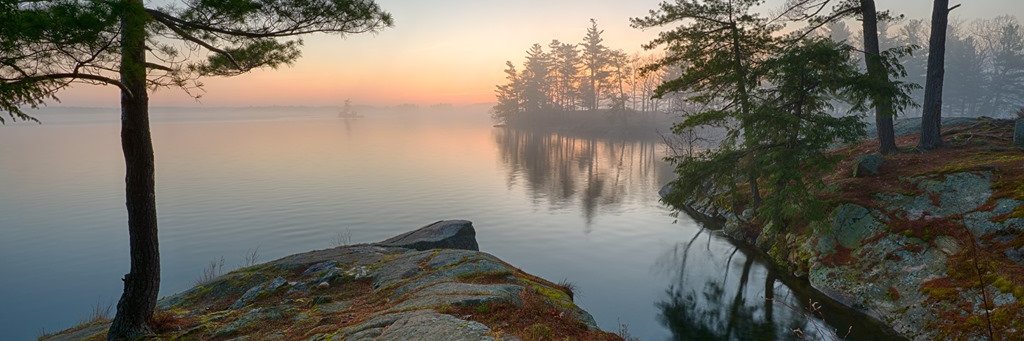 Patty Ritchie banner