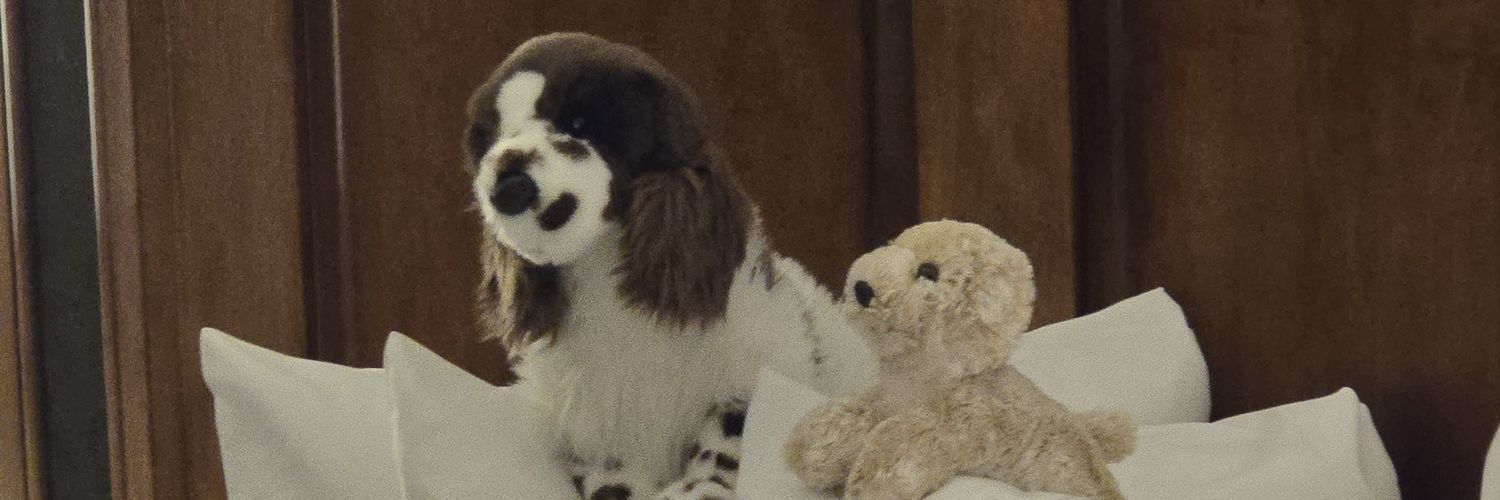 ☀️Filtho☀️ banner