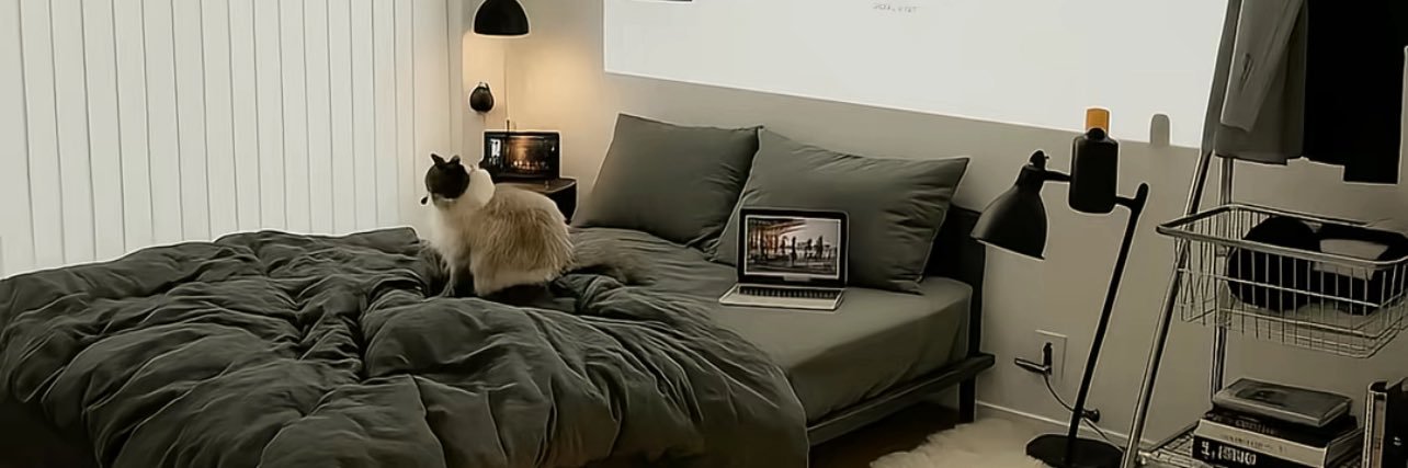 Big T 🧸 | Educationist | SEO | Softwares banner