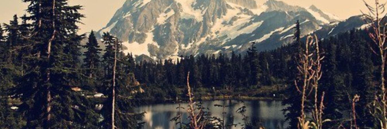 Tatianlove's profile banner image