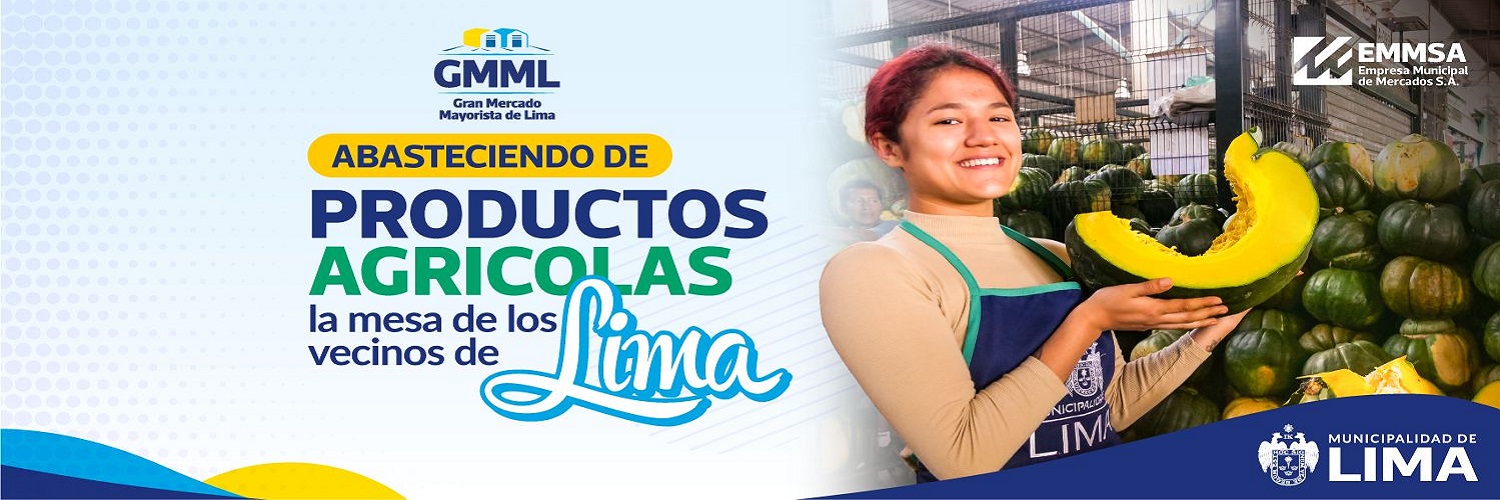 EMMSA banner