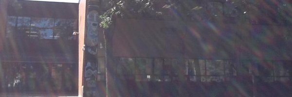 SuttonDHS Profile Banner