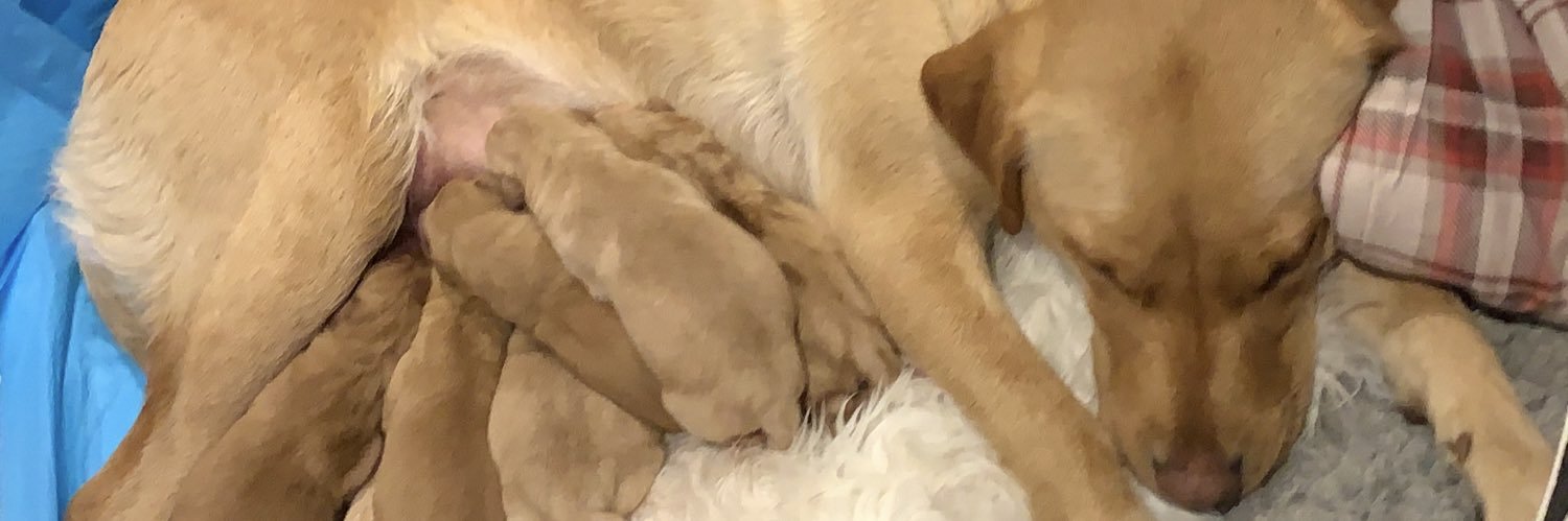 ParkerStephP's profile banner image
