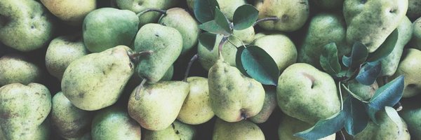 hiddenharvest Profile Banner