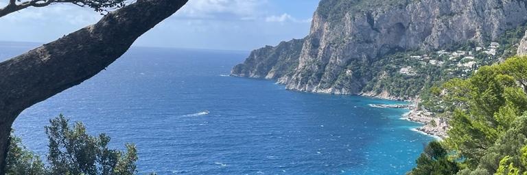 mariellatesoro's profile banner image