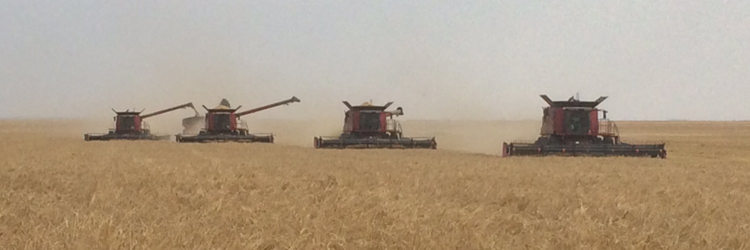 Stephen Vandervalk banner