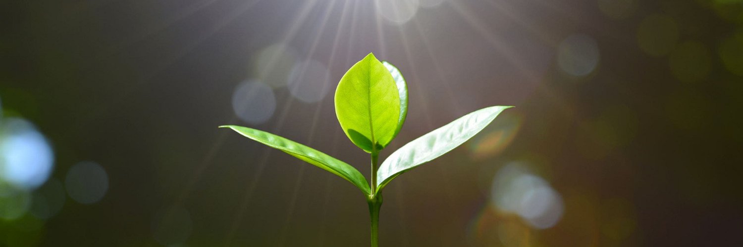 risetw's profile banner image