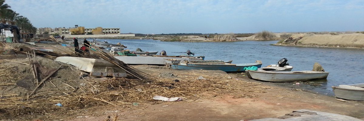 SayedTahaM's profile banner image