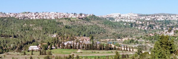 ShaiCarmi Profile Banner