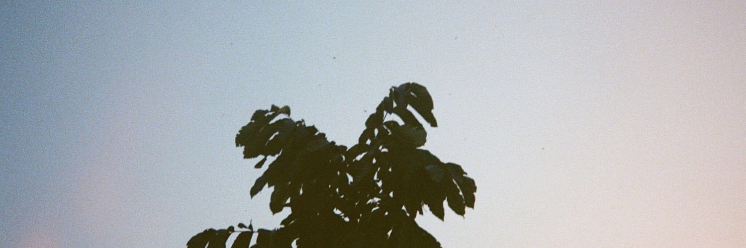 abdiemora's profile banner image