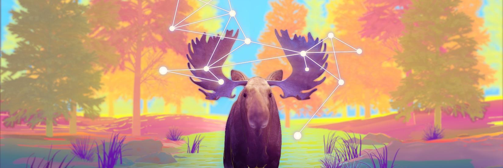 Amelia Wattenberger 🪷 banner