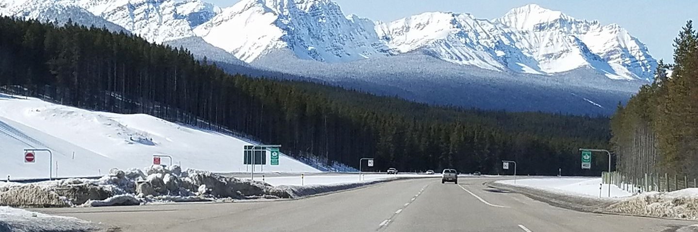 RozTravel's profile banner image