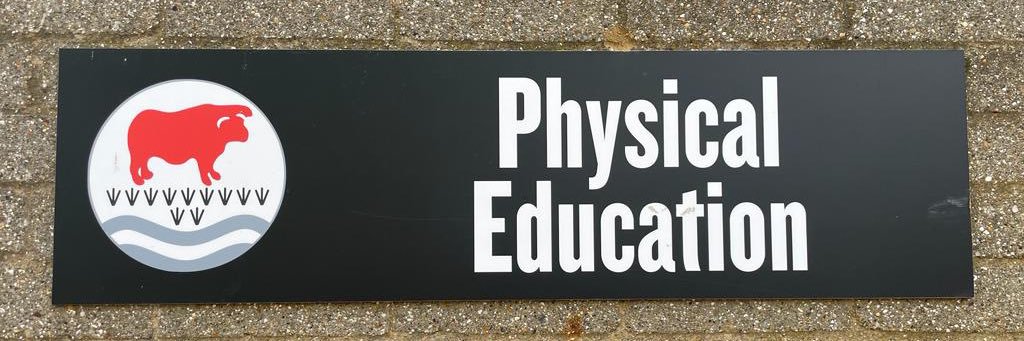 Bulmershe School PE banner