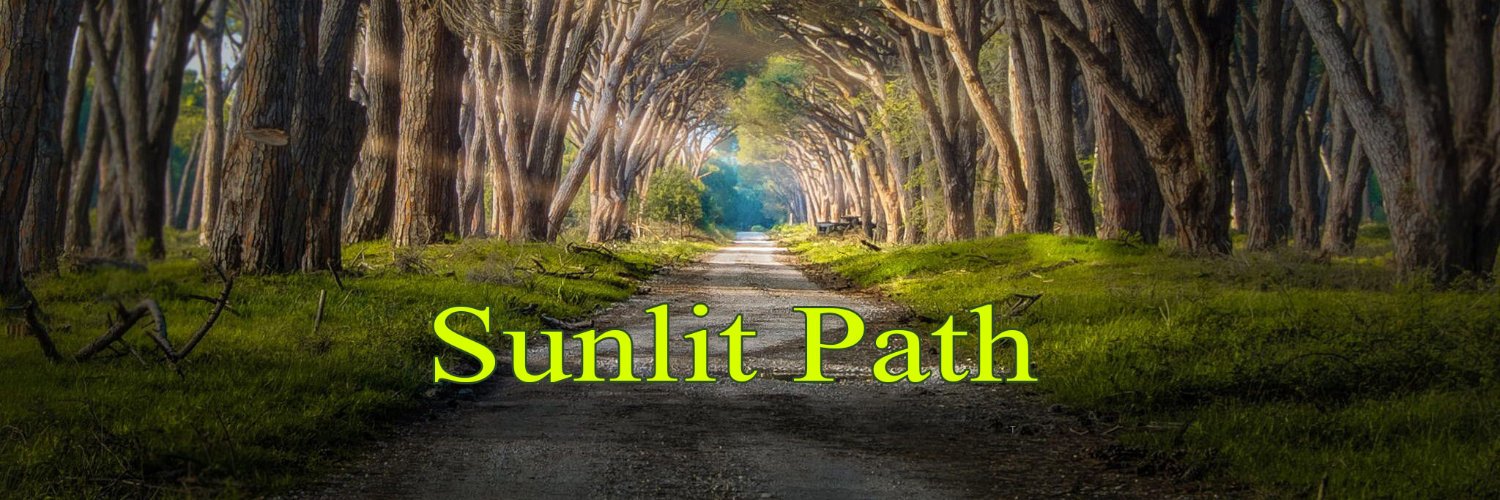 PathSunlit's profile banner image