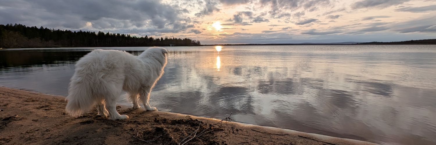 Sam Constantine banner