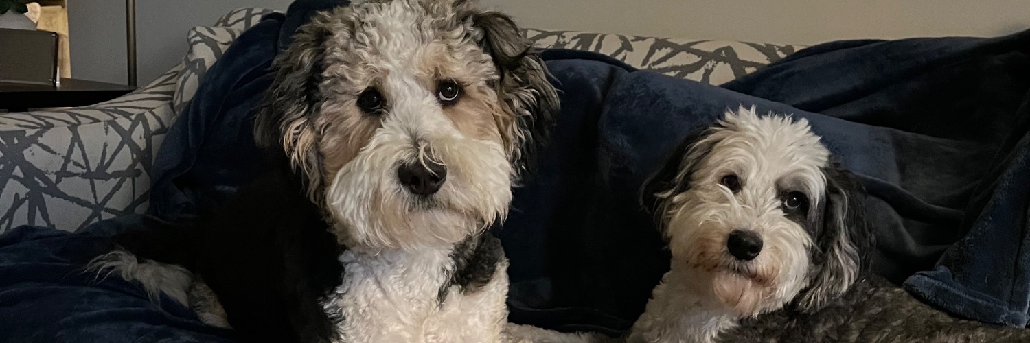 Andy Schoonover banner