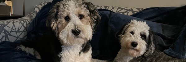 andyjschoonover Profile Banner