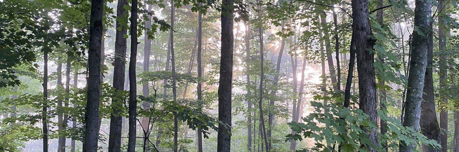 AmyKRadford's profile banner image
