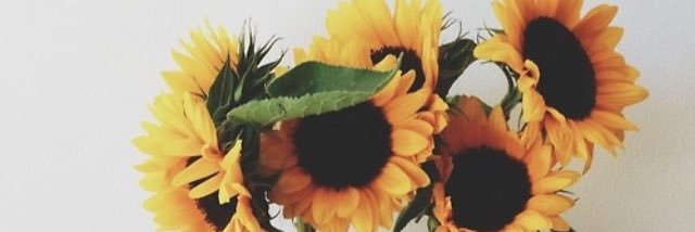 joeysara23's profile banner image