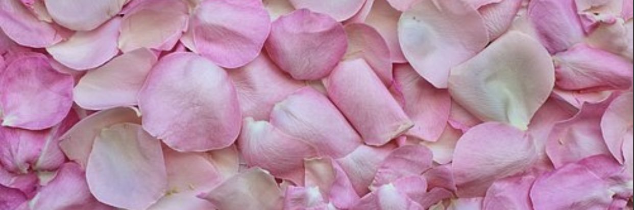 w_lorin's profile banner image