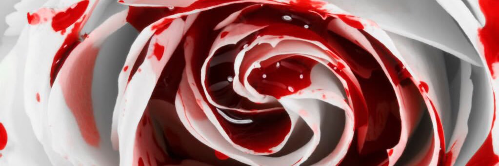 InfiniteStarr's profile banner image