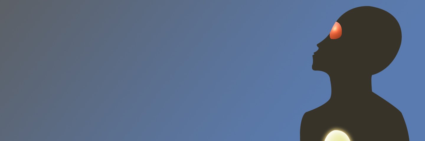 dawnerd's profile banner image