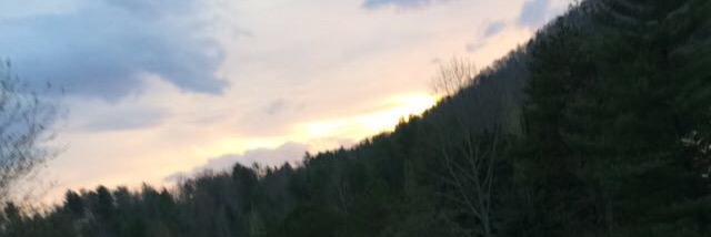 BoDodd15's profile banner image