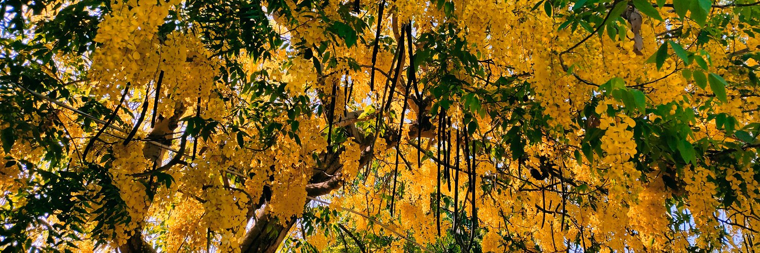 RajOPositive's profile banner image