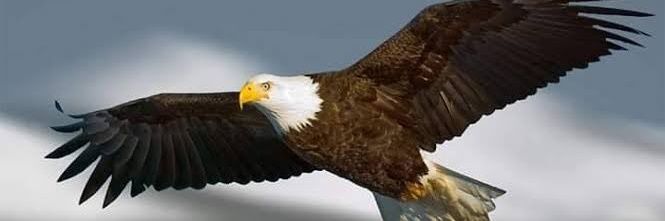 nadeem154154's profile banner image