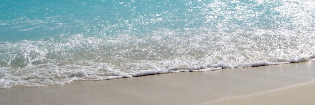scottbizzell's profile banner image