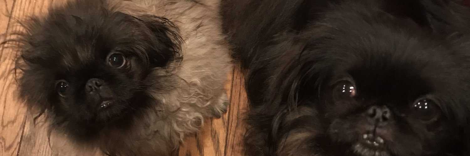 noel1880's profile banner image