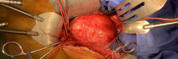 DixonSantana4 Profile Banner