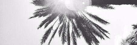 DevlJolien's profile banner image