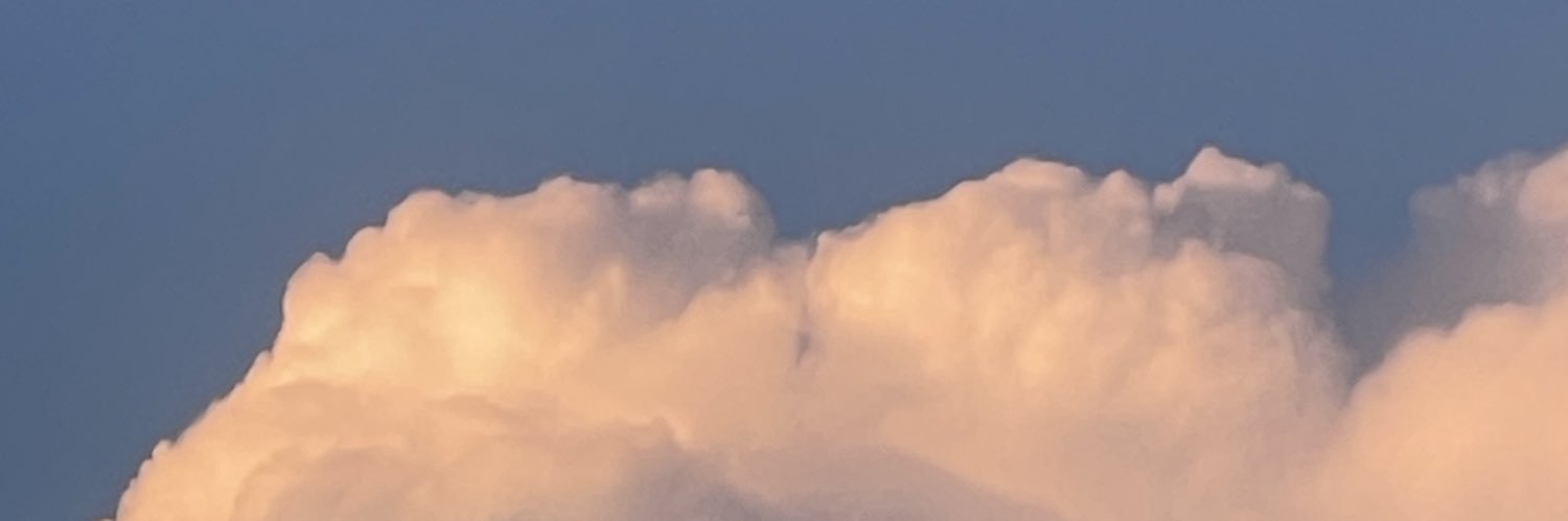 mimmosantangelo's profile banner image
