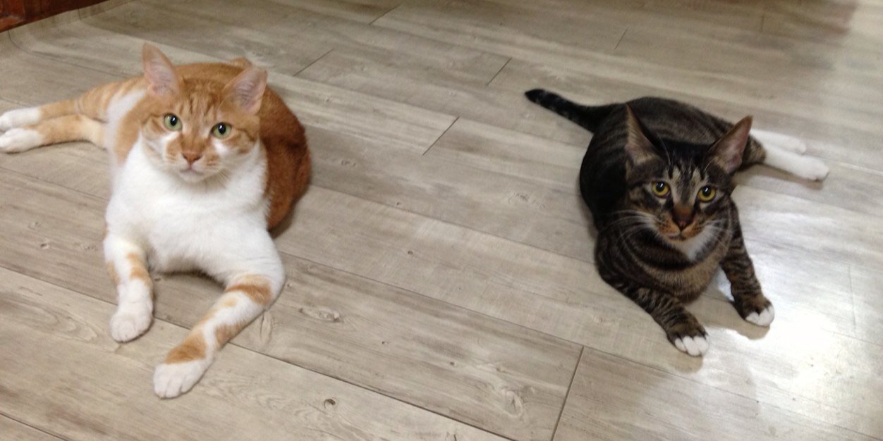 옹달쌤🎗 banner