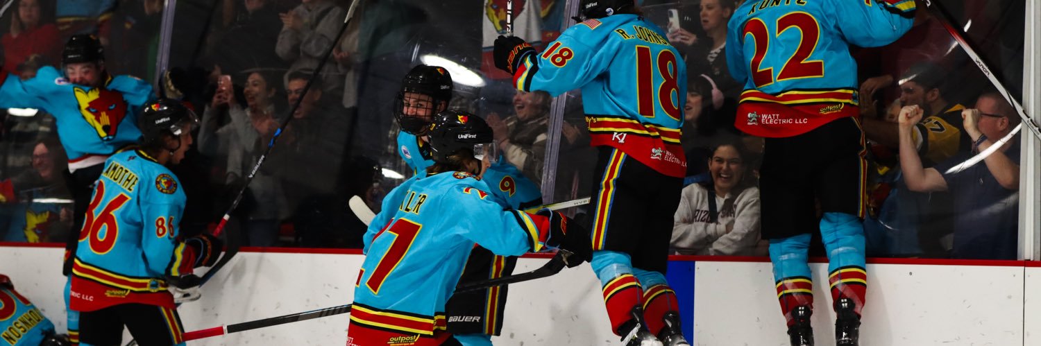New Mexico Ice Wolves's banner