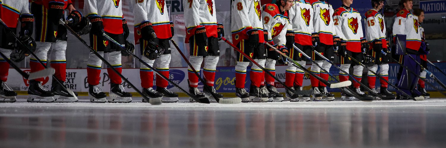 New Mexico Ice Wolves banner