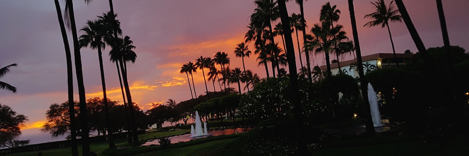 CarlyBee143's profile banner image