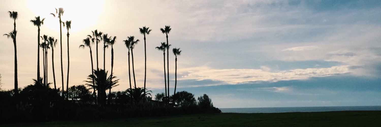 Haley Brooks banner