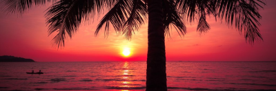 Xa_Ccre's profile banner image