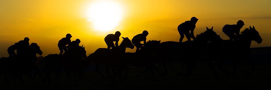 OfficialPhotographers banner