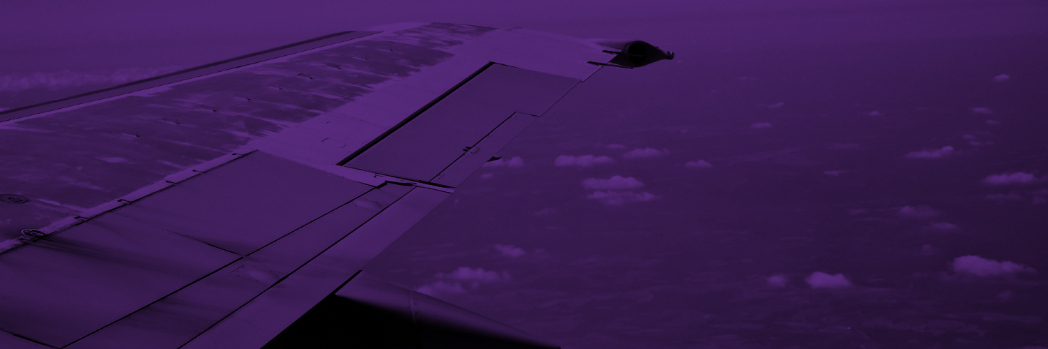 Horacio Garza Ghio banner